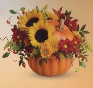 Lovely Pumpkin 
