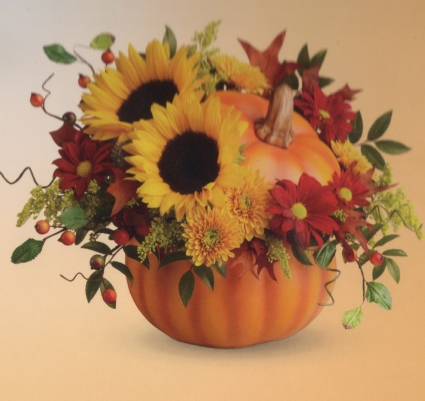 Lovely Pumpkin 