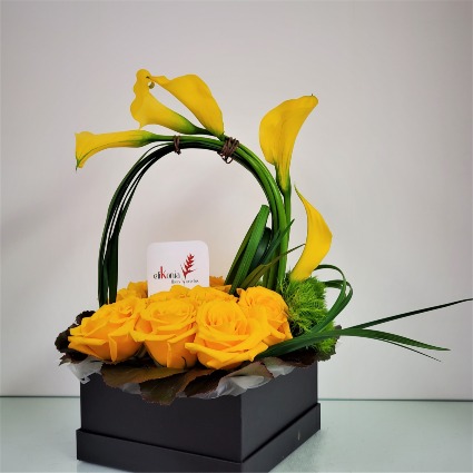 Arco de Ilusión Everyday Occasion Arrangement