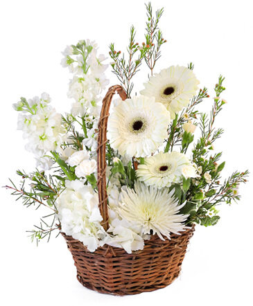 Pristine White Basket Floral Arrangement in Hampstead, NC | Surf City Florist