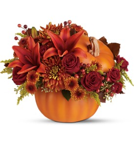 Prize Pumpkin 