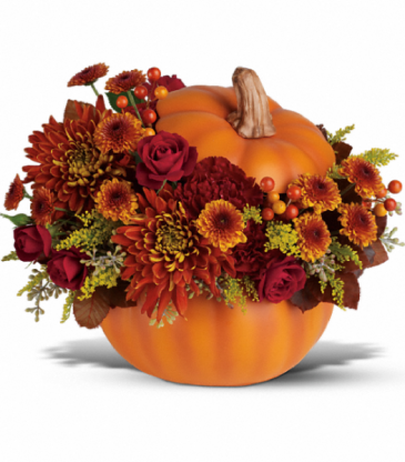 Prize Pumpkin  in Mount Pearl, NL | MOUNT PEARL FLORIST