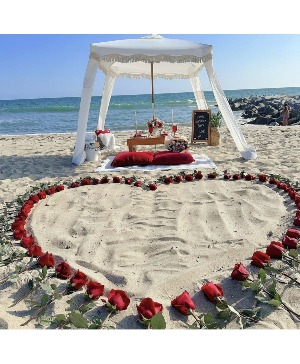 Proposals & Anniversary Fun Beach Events