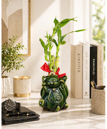 Prosperity Cat Call Us for Faster Service & Daily Specials: (915) 303-8500 Text Us to Order Anytime: (915) 505-3708 Your trusted source for Flowers & Delivery in El Paso TX in El Paso, TX | El Paso TX Flowers