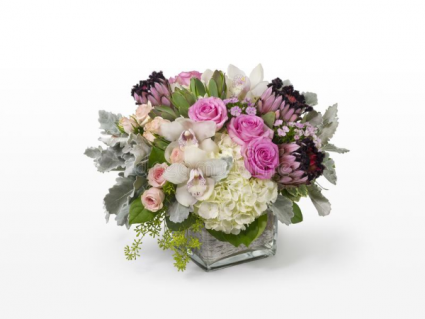 protea and orchid  