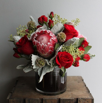 Protea  Fresh flowers