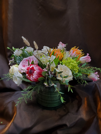 protea mix compact cube or cylinder