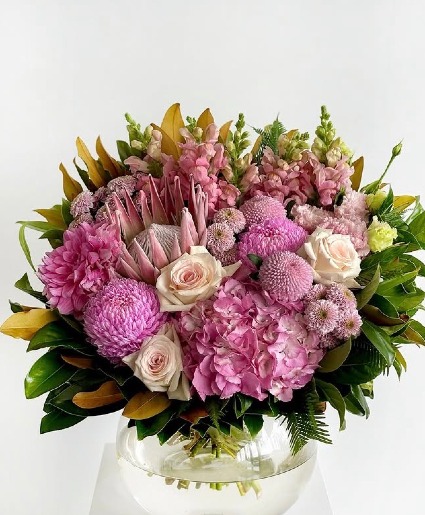 Protea with Friends  