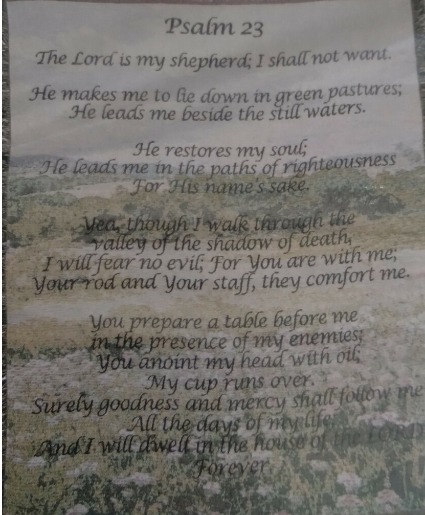 Psalm Throw Blanket 