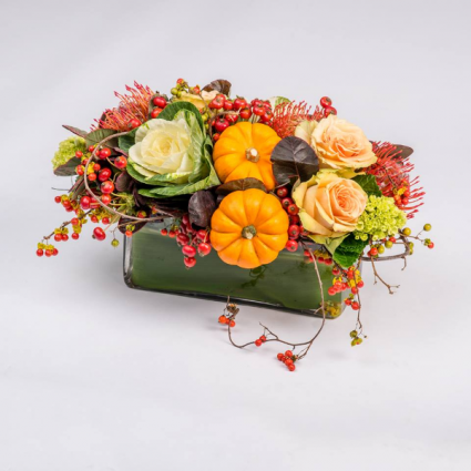 Pumpkins & Berries  