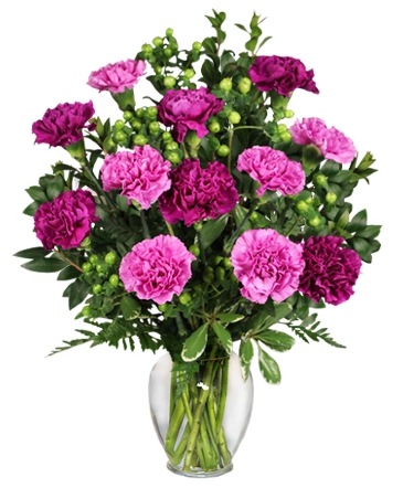 PUMP UP THE PURPLE Carnation Bouquet in Kettering, OH | FLOWERAMA