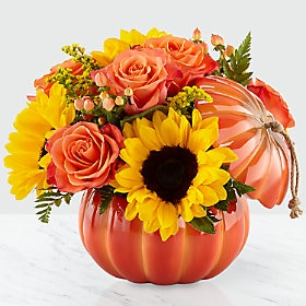 pumpkin 