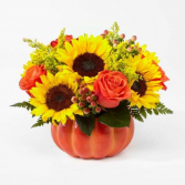 Pumpkin  Bouquet