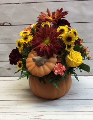Pumpkin Delight 