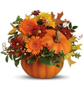 F100 - Pumpkin Delight Fresh Arrangment