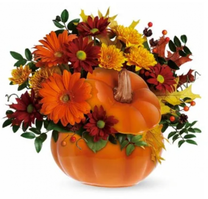 Pumpkin   designer  choice  