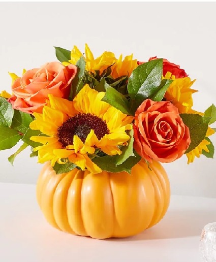 Pumpkin Dream Fall/Thanksgiving 