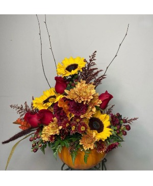 Pumpkin Fall 