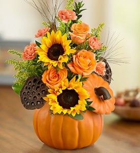 Pumpkin full of Love Pumpkin Love/ Pumpkin color varies