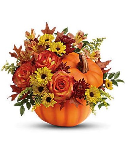 Pumpkin Harvest 