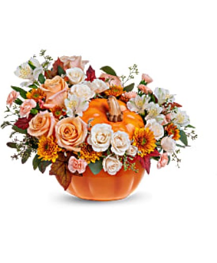 Pumpkin Life Deluxe  