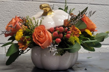PUMPKIN PARADISE  FALL 