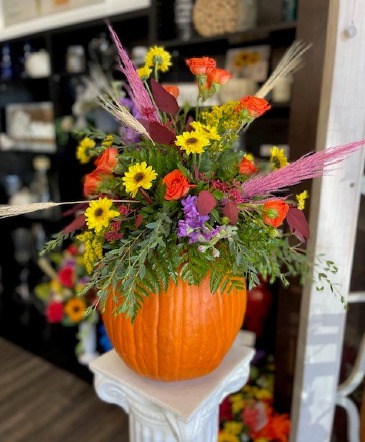 Harvest Moon  in Acworth, GA | Davis Flowers