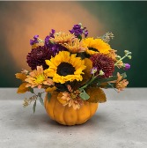 Pumpkin Patch 