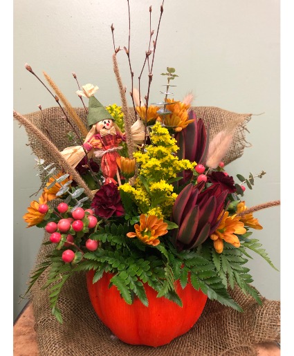 PUMPKIN PATCH ARRANGEMENT 
