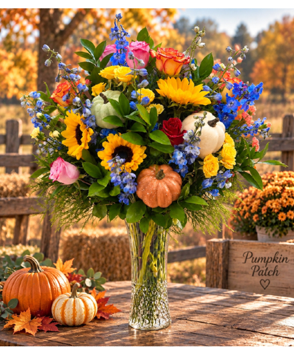 Pumpkin Patch Fall Design