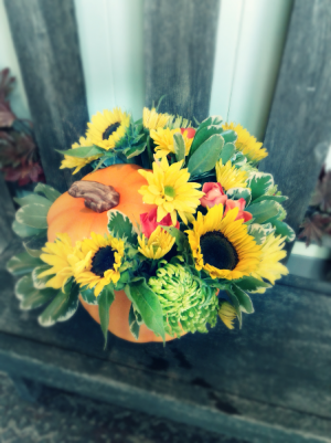Pumpkin Patch  Fresh Fall Arrangement 