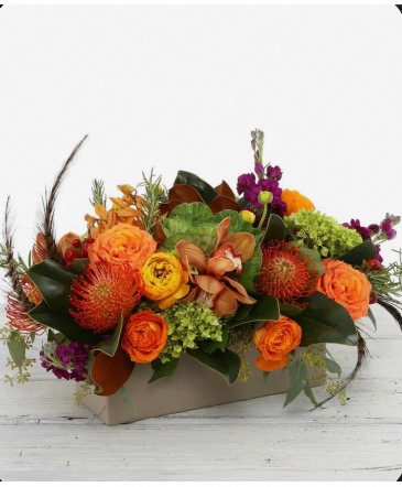 Pumpkin Patch Wooden Box  in Braintree, MA | Braintree Flowers