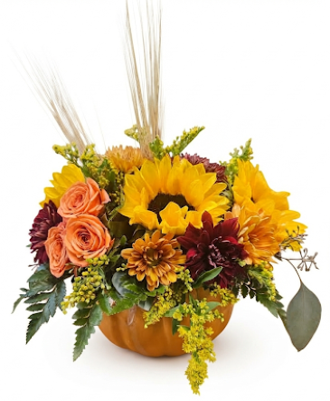 Pumpkin Perfect Flower Arrangement in Allendale, NJ | Rohsler's Allendale Nursery & Florist