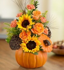 PUMPKIN & POSIES Arrangement