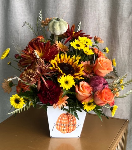  PUMPKIN POSY  FALL ARRANGEMENT