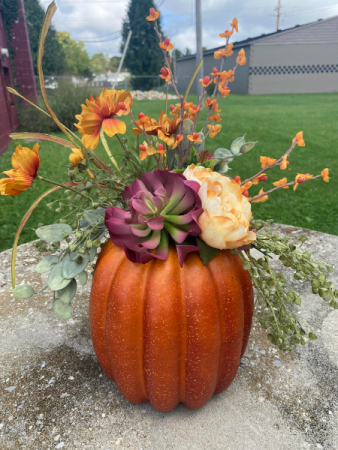 pumpkin silk  
