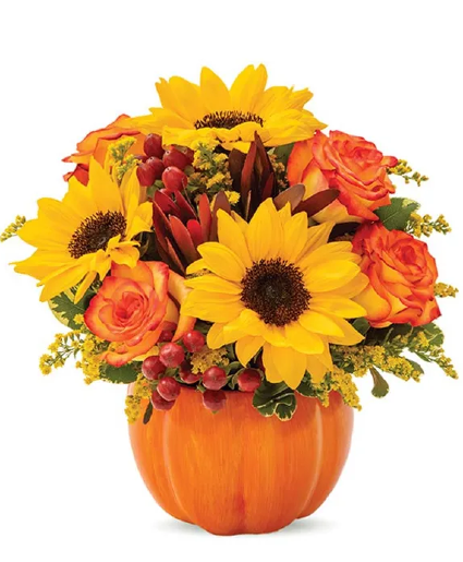 Pumpkin Spice - 00403 
