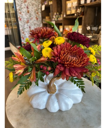 Pumpkin Spice  in Barre, VT | Emslie The Florist & Gifts