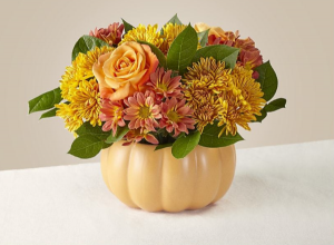 Pumpkin Spice fall