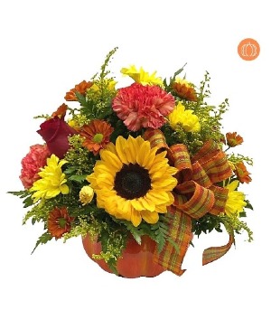 PUMPKIN SPICE Fresh Arrangement