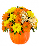 Pumpkin Spice Halloween or Fall Arrangement