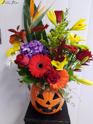Pumpkin Surprise 