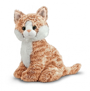 Pumpkin Tabby Cat  