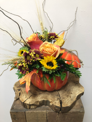 Pumpkin Thyme Fall Arrangement