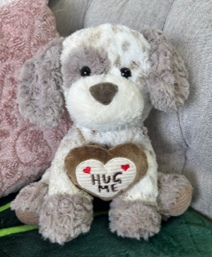 Puppy Dog “Hug Me” Plush Gift