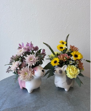 Puppy Love  in La Grande, OR | FITZGERALD FLOWERS
