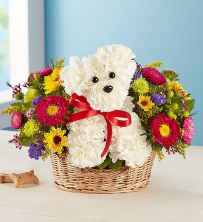 Puppy Love Arrangement 