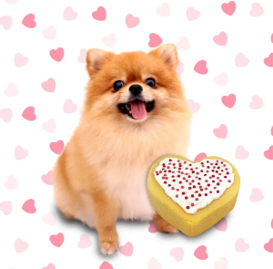 Puppy Love Cake Kit 