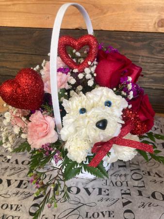 Puppy Love <3 Fresh floral design