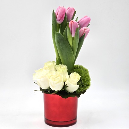Puppy Birthday. VD24-104 Love Arrangement